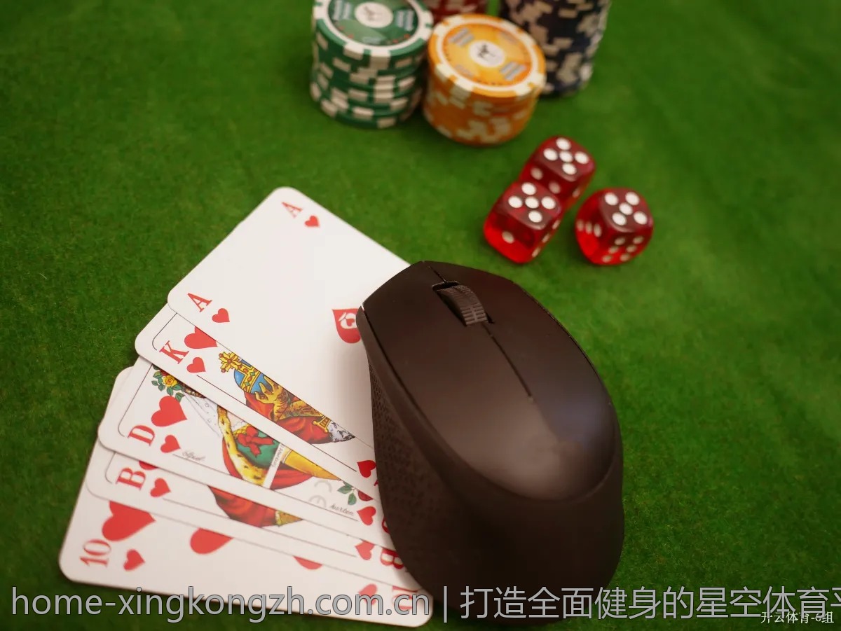 打造全面健身的星空体育平台运动指南